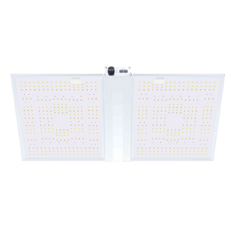 Quantum Board Led RG300 Nanolux